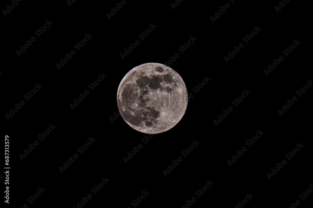 Obraz premium 11月の満月