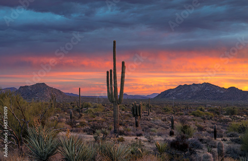 Vibrant Arizona Sonoran Desert Landscape At Sunrise Time Near Phoenix © Ray Redstone