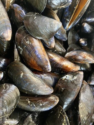 Принти на полотні Cleaned mussels ready to be cooked au naturel