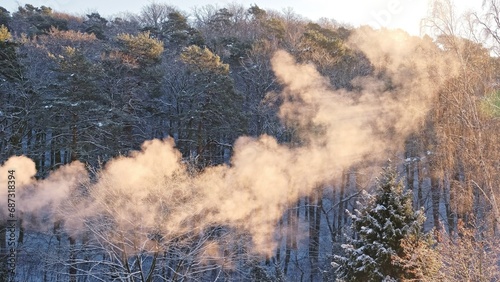 Golden Hour Cold Morning Winter Forest Landscape with White Smoke Floating in the Air