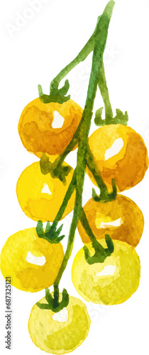 Watercolor painted tomato cherry. Hand drawn fresh food design element isolated on white background.