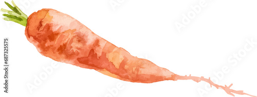Watercolor painted carrot. Hand drawn fresh food design element isolated on white background.