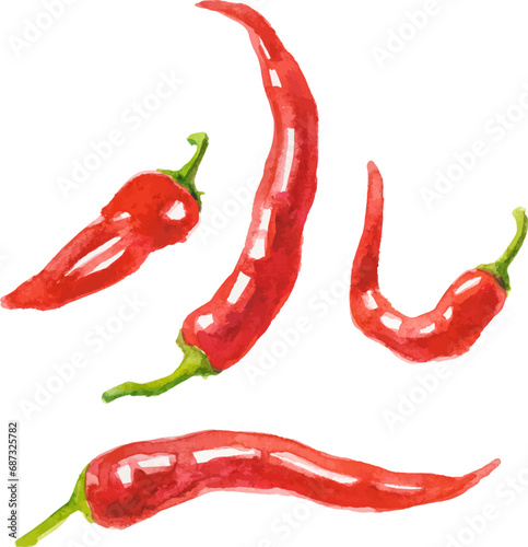Watercolor painted chili pepper. Hand drawn fresh food design element isolated on white background. © vasabii