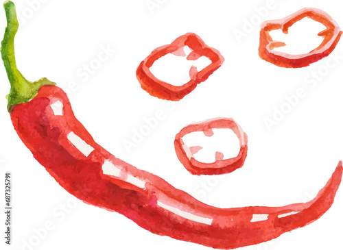 Watercolor painted chili pepper. Hand drawn fresh food design element isolated on white background.