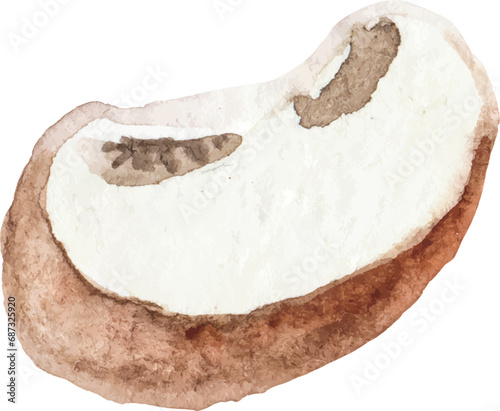Watercolor painted champignon. Hand drawn fresh food design element isolated on white background.