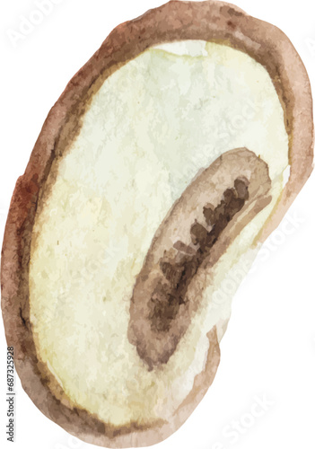 Watercolor painted champignon. Hand drawn fresh food design element isolated on white background.