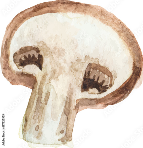 Watercolor painted champignon. Hand drawn fresh food design element isolated on white background.