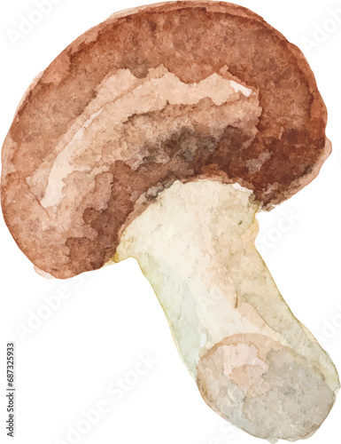 Watercolor painted champignon. Hand drawn fresh food design element isolated on white background.
