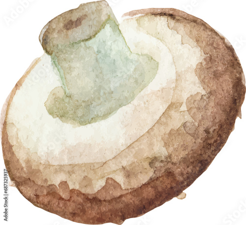 Watercolor painted champignon. Hand drawn fresh food design element isolated on white background.