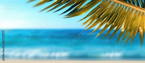 Copy space  palm leaves blur sea and beach background  bright blue and yellow light