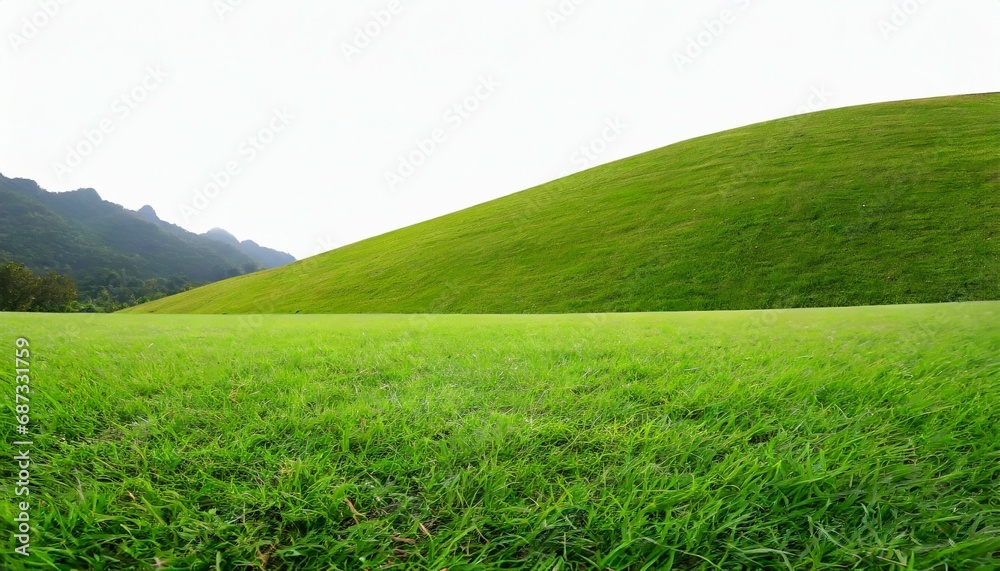 green grass field on white background