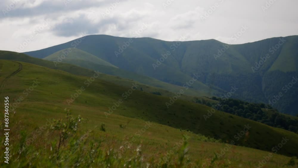 Alpine meadow with green grass against the backdrop of a picturesque mountain. Static shooting in the Carpathians during a slight wind. Alpine meadow with green grass against the backdrop of a picturesque mountain. Static shooting in the Carpathians during a slight wind.