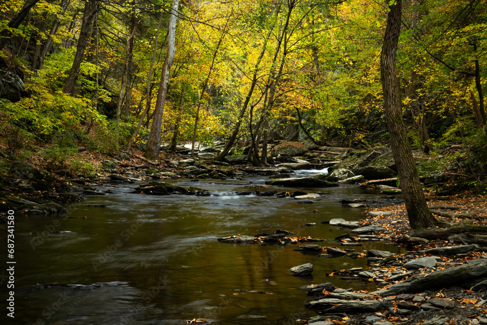 Stream in an Autumn Forest