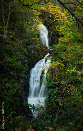 Treasure of Sage's Ravine