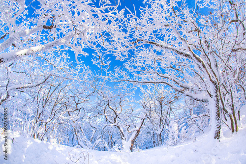 winter view and Snow flowers at Deogyusan National Park. Muju Resort at Deogyusan Mountain, South Korea.