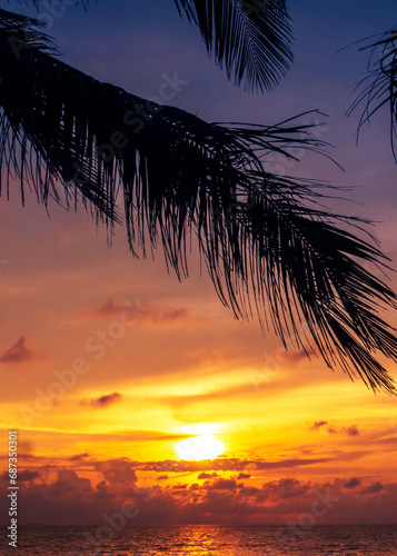 sunset over the beach © Johnster Designs