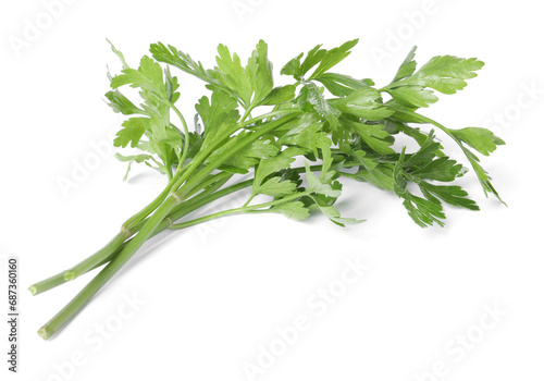 Sprigs of fresh green parsley leaves isolated on white