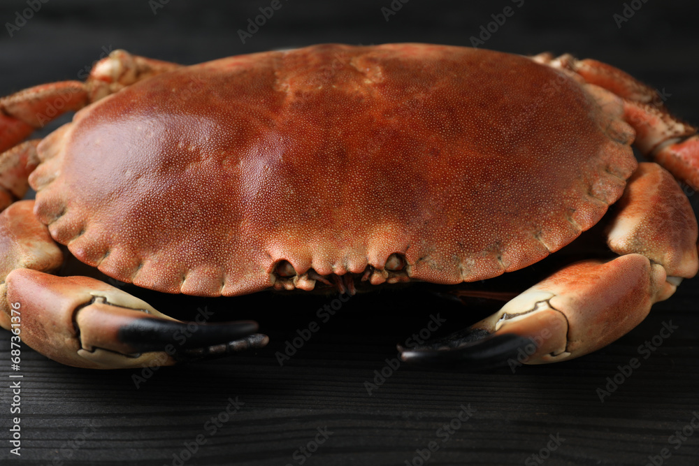 Delicious boiled crab on black wooden table, closeup Delicious boiled crab on black wooden table, closeup