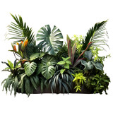 Tropical Plants and Rocks in a Garden Setting Isolated on Transparent or White Background, PNG