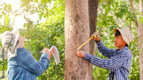 Young Asian boys are using a measure tape to measure a tree in a local park, soft and selective focus photo