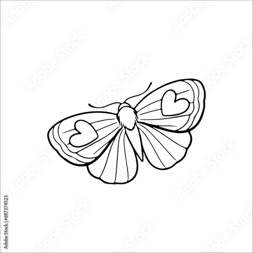 vector illustration of moth outline