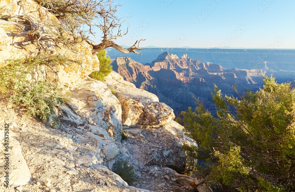 The stunning views of the Grand Canyon North Rim The stunning views of the Grand Canyon North Rim