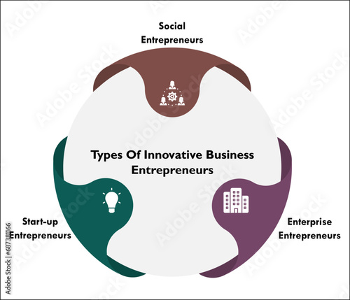 Types Of Innovative Business Entrepreneurs - Social, Start-up, Enterprise. Infographic template with icons