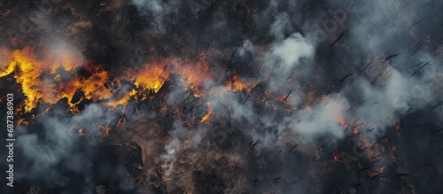 Aerial perspective of a forest fire. Black ash covers the ground. Clear division of burned area. Vertical view. photo