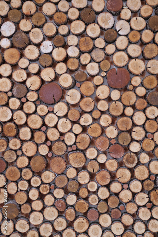 Background of tree stumps, natural wood background Background of tree stumps, natural wood background