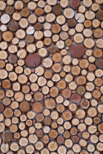 Background of tree stumps  natural wood background