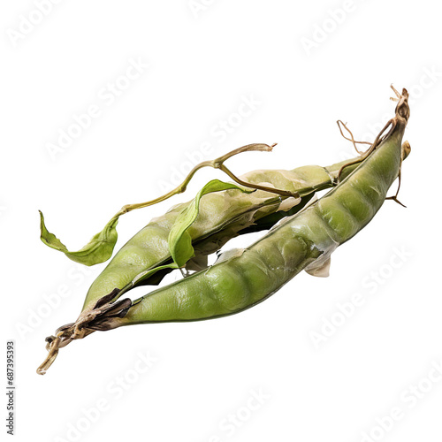 front view of a spoil rotten snow pea vegetable isolated on a white transparent background  photo