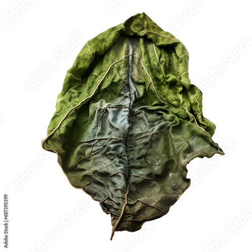 front view of a spoil spinach leaf word vegetable isolated on a white transparent background 