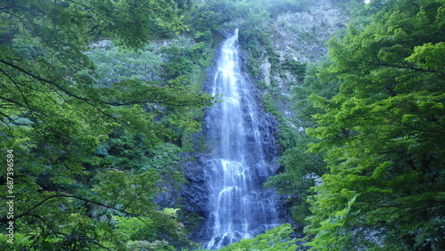日本の森の中流れ落ちる水と滝