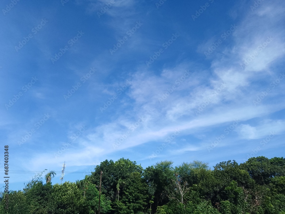 clouds over the forest