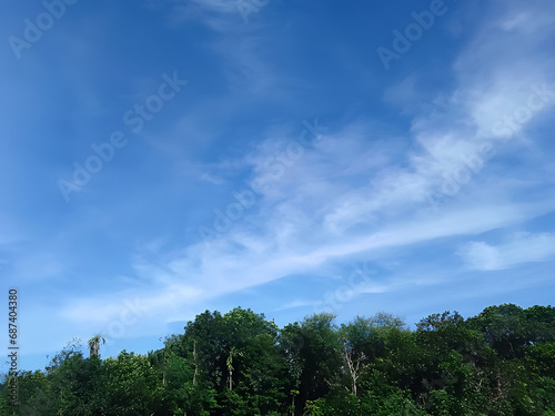 clouds over forest