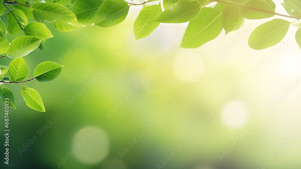 beautiful nature view of green leaf on blurred greener background in garden with copy space. beautiful nature view of green leaf on blurred greener background in garden with copy space.