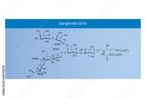 Molecular structure diagram of Ganglioside GD1b blue Scientific vector illustration.