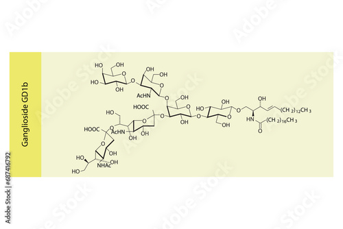 Molecular structure diagram of Ganglioside GD1b yellow Scientific vector illustration.