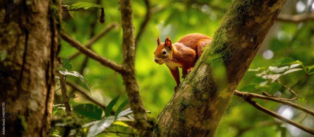 lush forest, a majestic tree towered above, its branches a canopy of green. Below, a curious animal with a cute red coat played amidst the wildlife, its portrait painted with the essence of nature. As