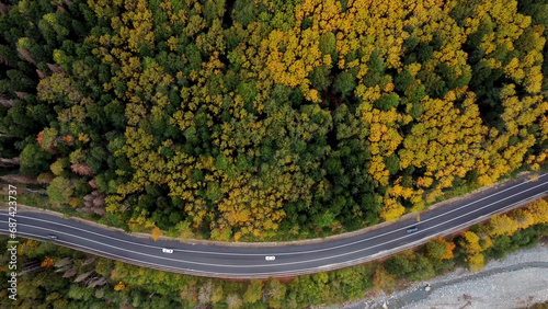 a road in the mountains in an autumn multicolored forest shot from above on a copter
