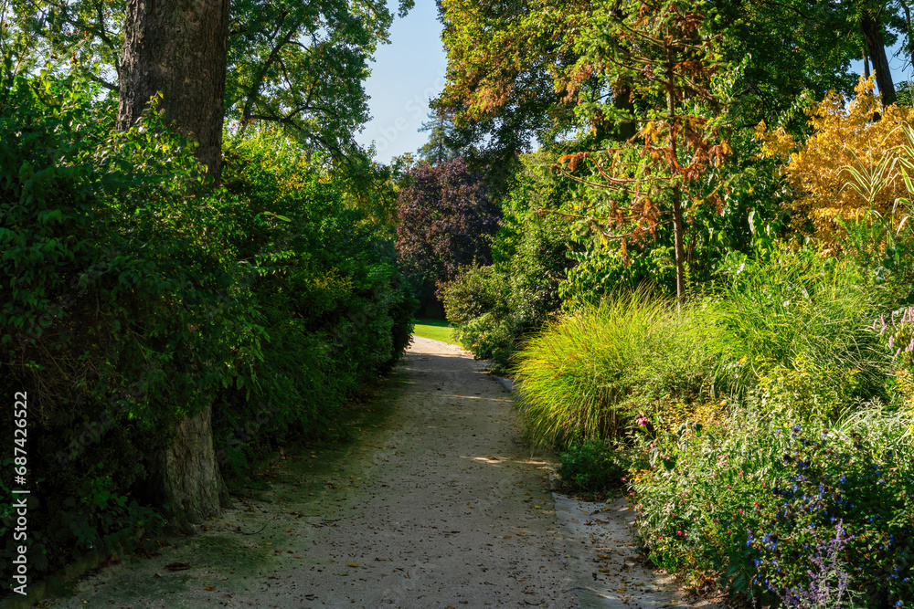 Empty Path in Parc Montsouris at early autumn - Paris, France