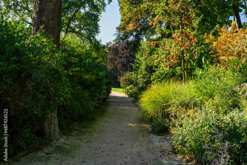 Empty Path in Parc Montsouris at early autumn - Paris, France