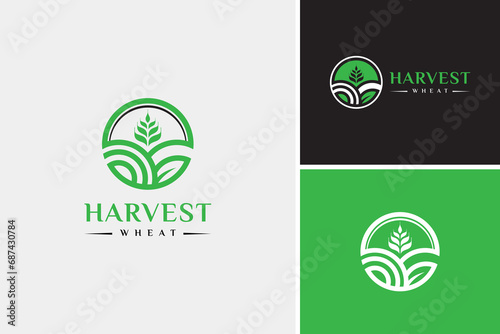 Nature farm logo, farming logo, harvest wheat logo design vector template