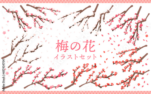 梅の花イラストセット 