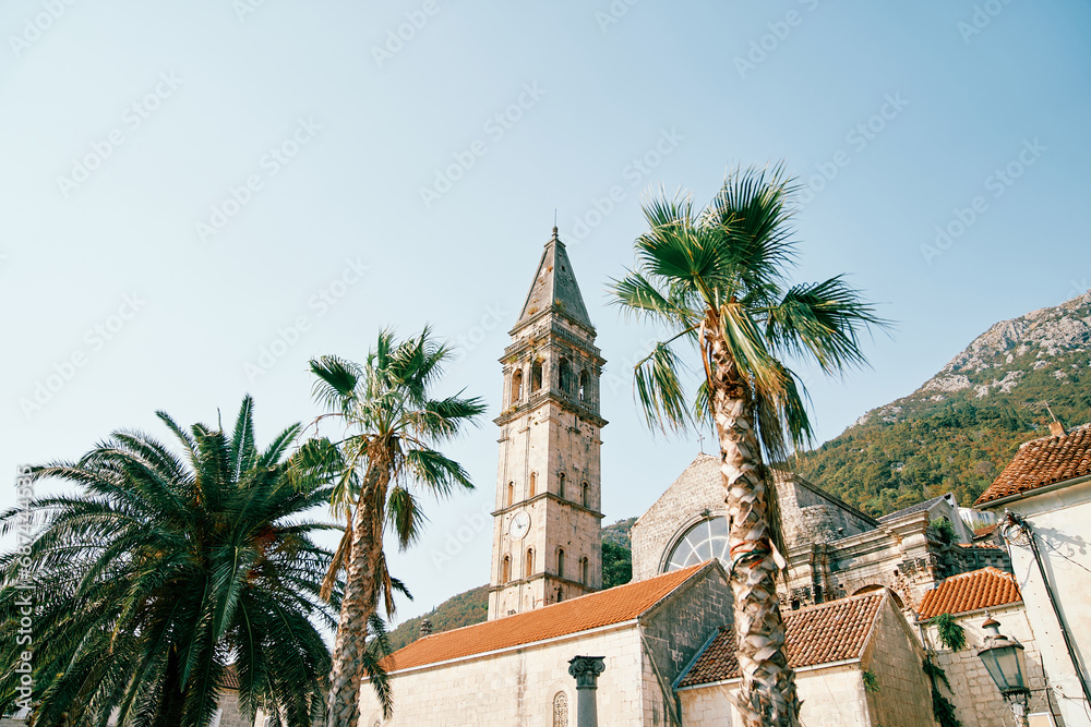 Palm trees grow in the courtyard of the Church of St. Nicholas against the backdrop of the mountains. Perast, Montenegro