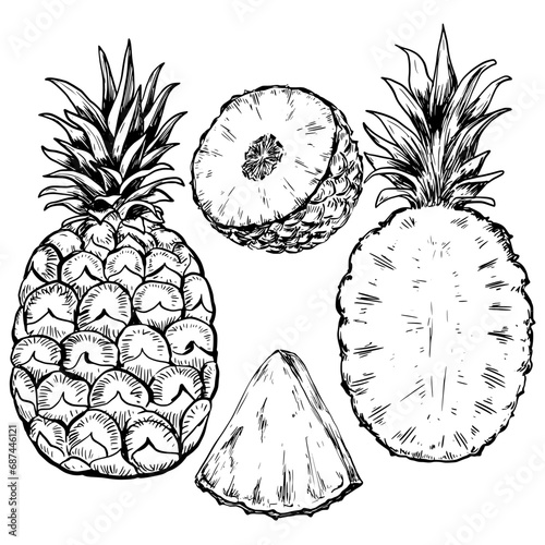 Pineapple vintage vector sketch set