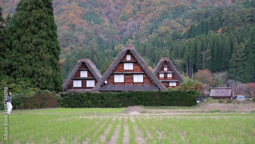 A woman walking past the old houses in Shirakawa-go village in Japan photo