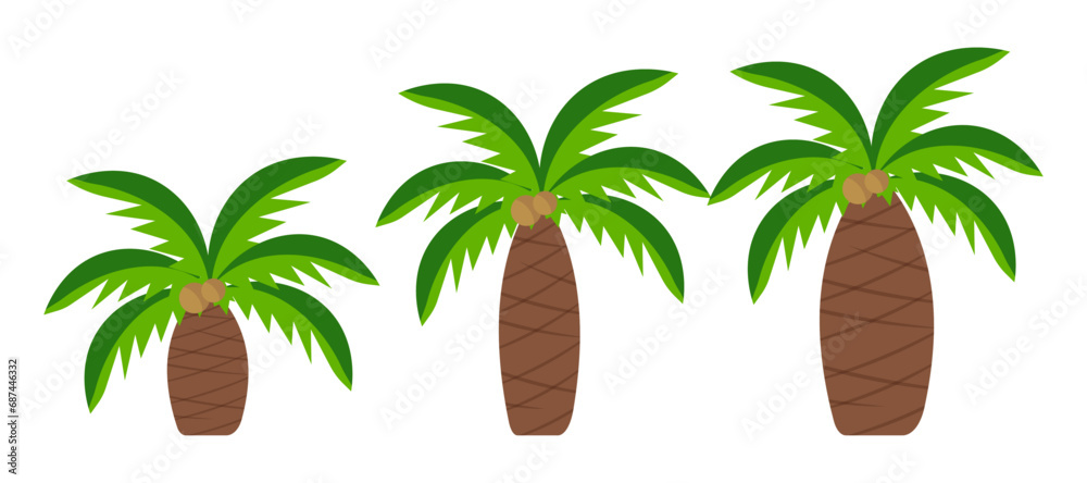 Obraz premium Set of palm trees in flat style. Tropical plant.