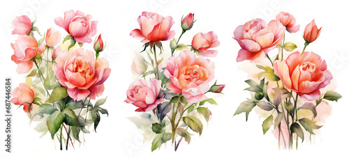 watercolor flowers  a set of illustrations in handmade watercolor style on a white background  generative ai  