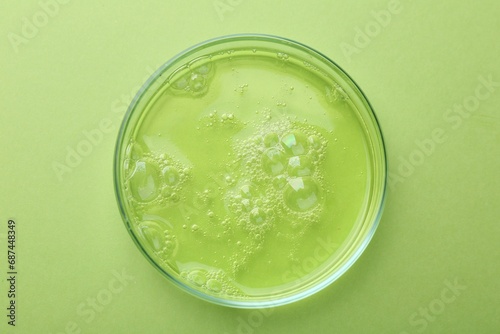 Petri dish with liquid sample on green background, top view